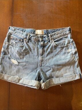 Everlane Denim Short size 29